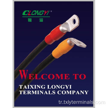 Yalıtılmış Pim Bakır Kablo Terminal Lug